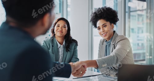 Preview: Business people, meeting and shaking hands for job interview, recruitment and introduction in publi