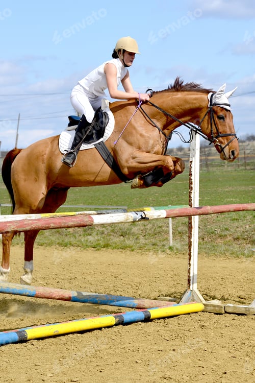 Preview: Show Jumping