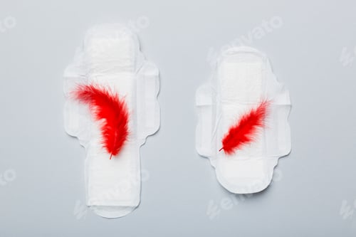 Preview: Women hygiene products or Sanitary pad with red feather on colored background. Pastel color. Closeup