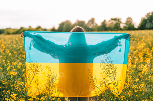 Preview: Unrecognizable ukrainian patriot woman standing with national flag in canola yellow field.