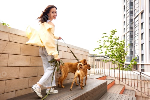 Preview: Charming young smiling girl on a walk with two golden dogs in the city yard. The girl keeps pets on