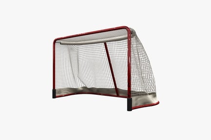 Preview: Hockey goal with netting