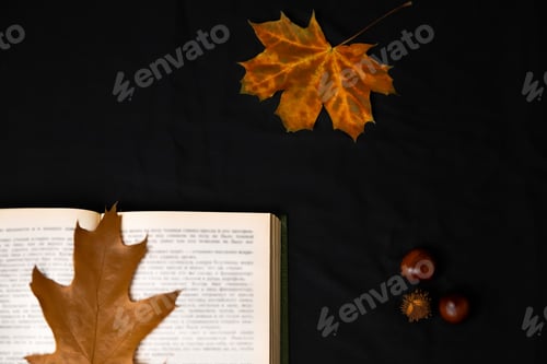 Preview: Autumn flatlay: open book adorned with vibrant yellow leaves, creating a striking contrast. Black ba