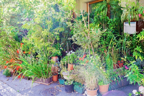 Preview: A house with garden before the door in typical European small village, summer family travel