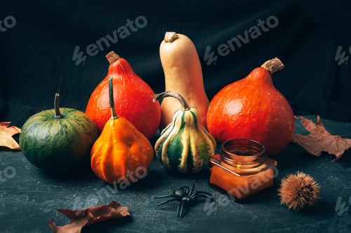 Preview: Various pumpkins, fallen leaves, candle and spider on black background. Halloween concept. Closeup