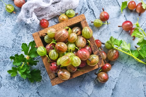 Preview: gooseberry