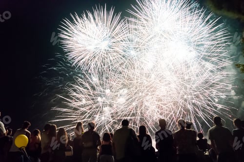 Preview: Crowd watching fireworks and celebrating new year eve