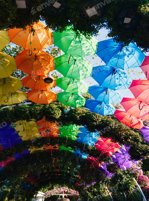 Preview: Umbrella