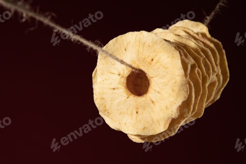 Preview: Dried apple slices on a rope on a dark background with empty space for text.