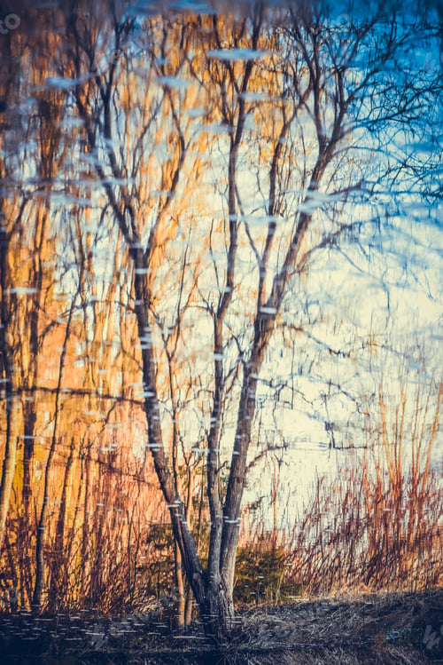 Preview: Photography blur tree reflection on water.