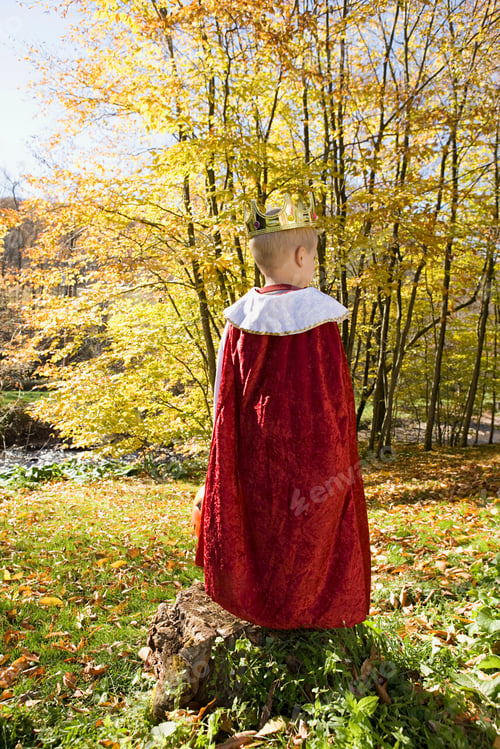 Preview: Boy dressed as a king