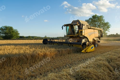 Preview: A combine harvester driver working in a field, harvesting a cerial crop.