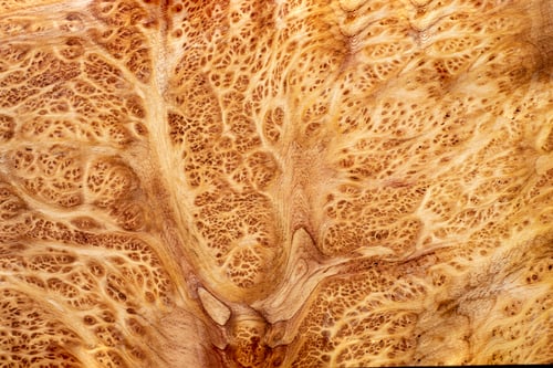 Preview: burl wood striped