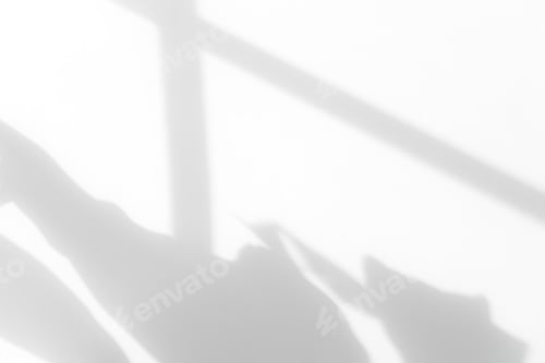Vista previa: Leaves shadow overlay on white wall, isolated Branches leaves reflection from window