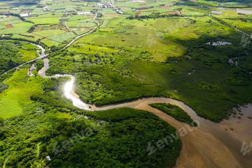 Preview: Japan Ishigaki island, beautiful field