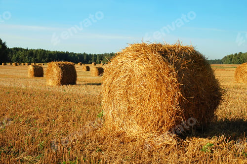 Preview: Hay bales