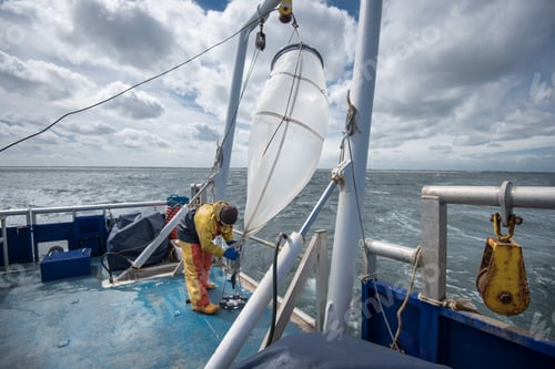 Preview: Scientist preparing plankton net on research ship