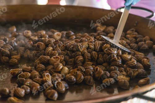 Preview: escargot is fried in a frying pan. Selective focus.