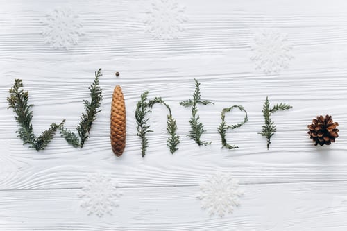 Preview: Winter ornament with tree branches and cone.
