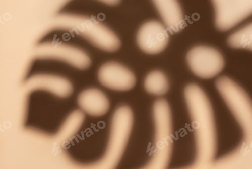 Preview: Shadows from monstera leaves