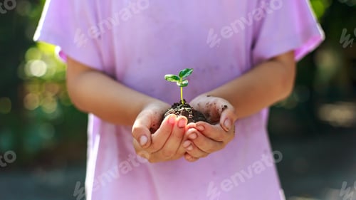 Preview: Close up children hands planting the tree as save world or care of the environment and ecology