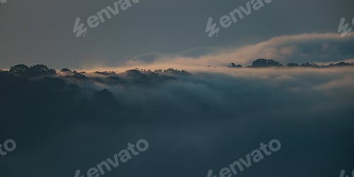 Preview: Misty forest morning fog sunrise light mountain ridge tranquil landscape serene misty forest