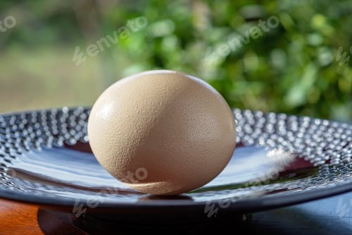 Preview: A huge ostrich egg on a large plate, against a background of summer greenery. Organic
