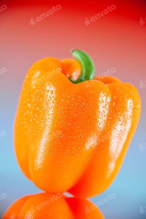 Preview: front view orange pepper with water drops on red ombre background