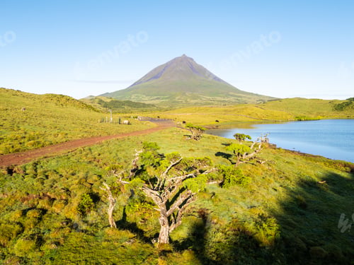 Preview: Mount Pico, Azores Juniper Trees and Lake Lagoa do Capitao