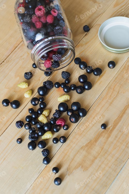 Preview: Wild forest berries