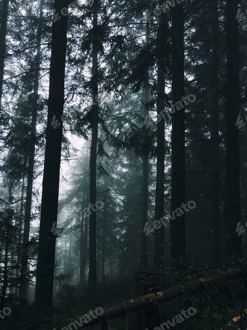 Preview: nature