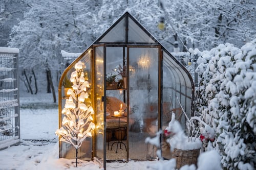 Preview: Snowy yard with glasshouse and glowing tree graland