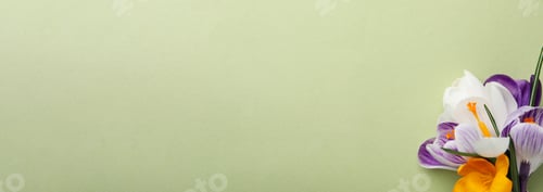 Vista previa: Beautiful crocus bouquet on beige background, top view. Space for text