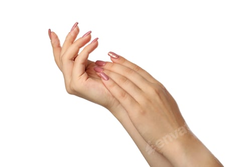 Preview: Beautiful female hands isolated on white background