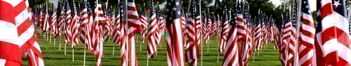 Preview: Field of American Flags on Grassy Lawn