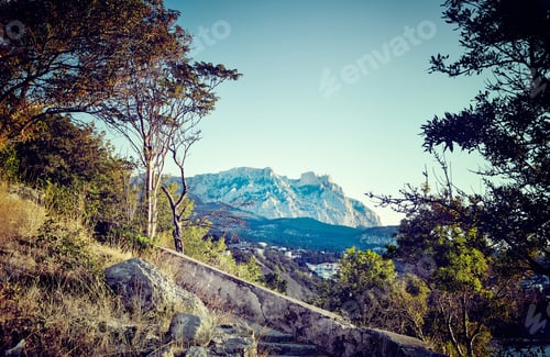 Preview: Tree and sea at sunset. Crimea landscape