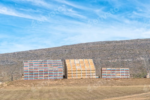 Preview: Crates at a fruit packing warehouse between Barrydale and Montagu