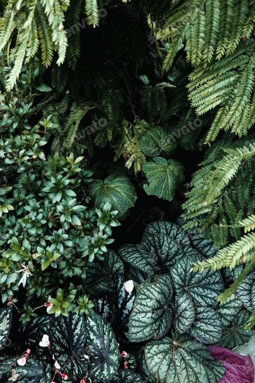 Preview: Lush Green Leaf Arrangement