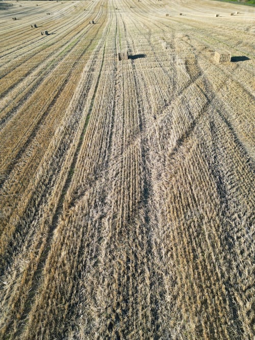 Preview: Aerial view of harvested field with hay bales.