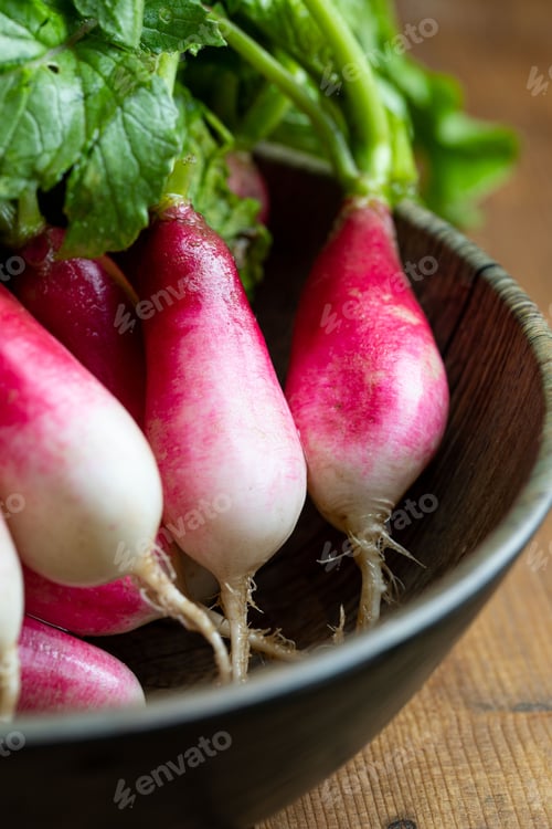 Preview: the radishes have been picked and ready to eat