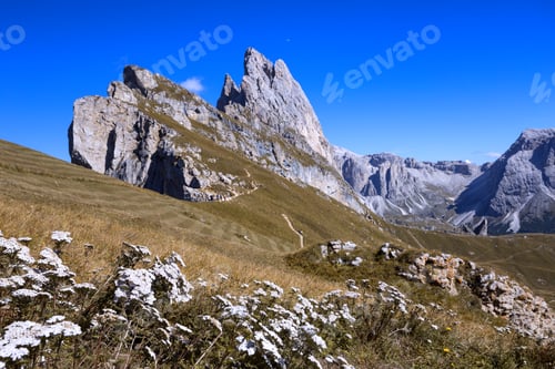 Preview: Seceda at the Dolomites