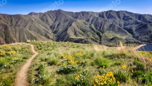 Preview: a narrow dirt path on top of a mountain next to water