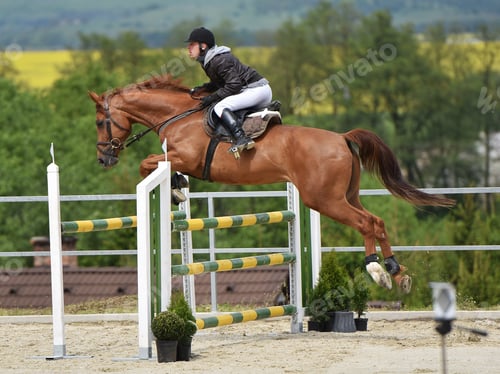 Preview: Show Jumping