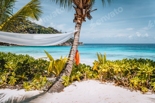Preview: Tropical sandy beach with blue ocean lagoon in background at Mahe island, Seychelles