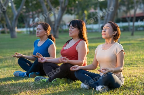 Preview: Meditation