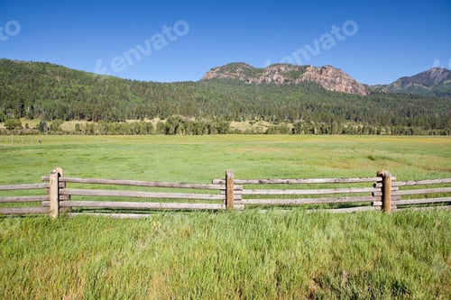 Preview: Wooden Fence and Meadow
