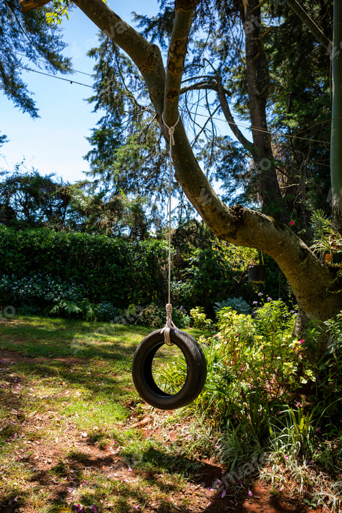 Preview: Tree rubber tyre swing recycled suspended rope chain playing ground branch