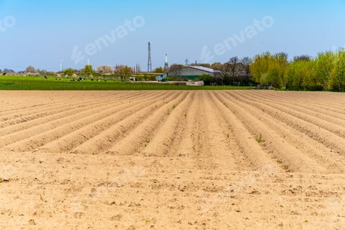 Preview: View of the plowed fields in the spring for growing