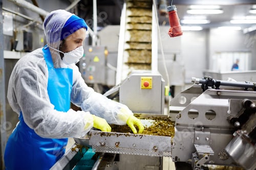 Preview: Working in seafood factory