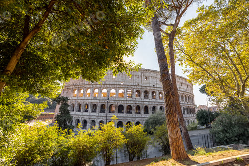 Preview: View of Colosseum through trees in park